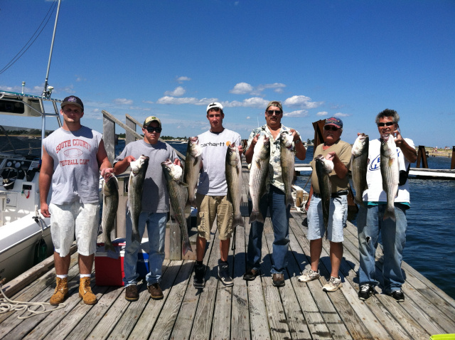 boat load of striped bass